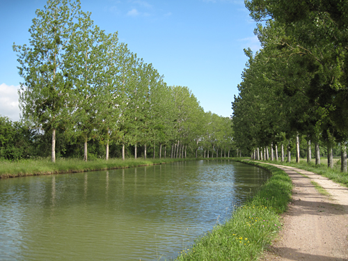 Bikepath of Burgundy Canal